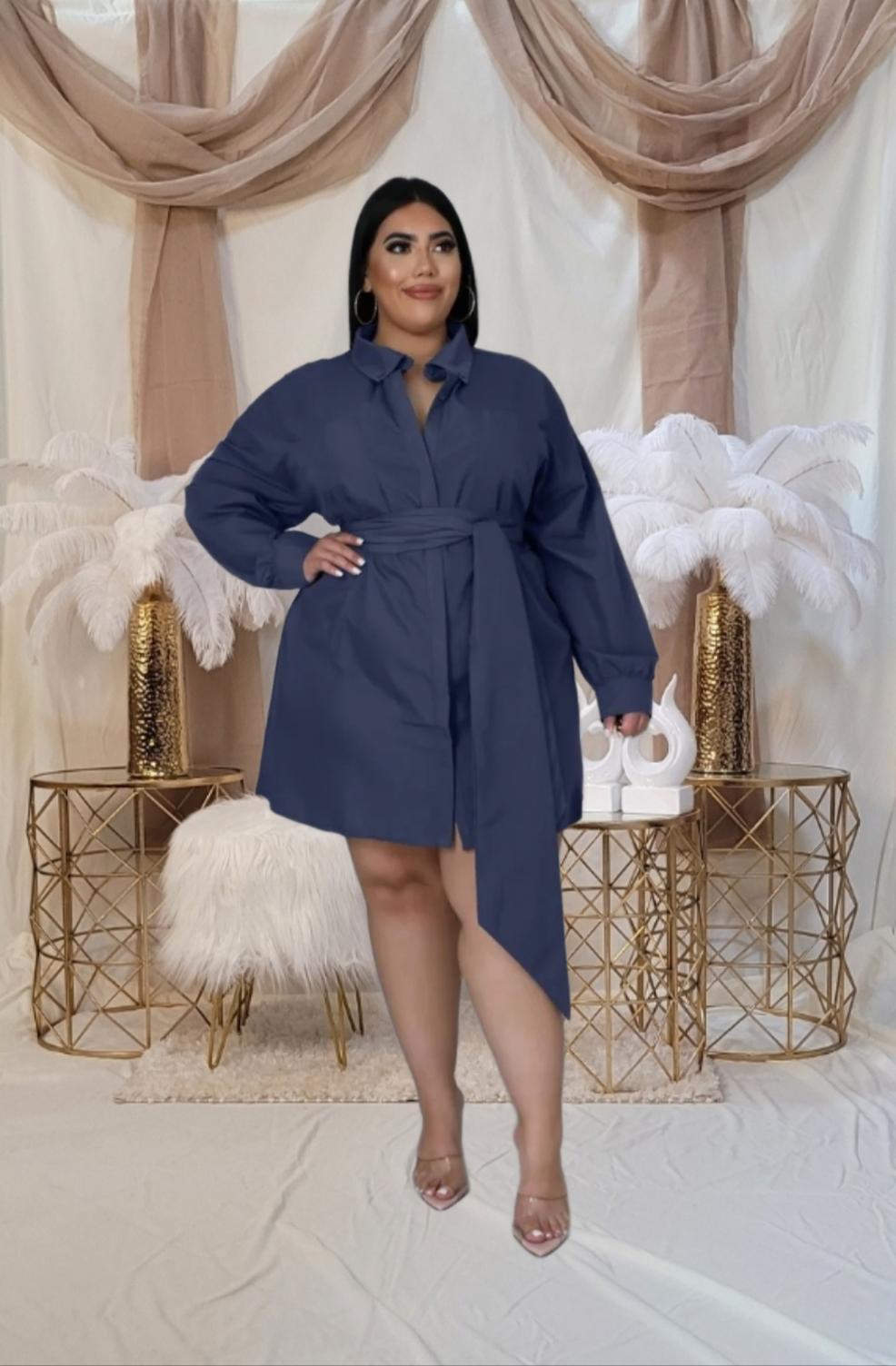 Jeanette Belted Shirt Dress