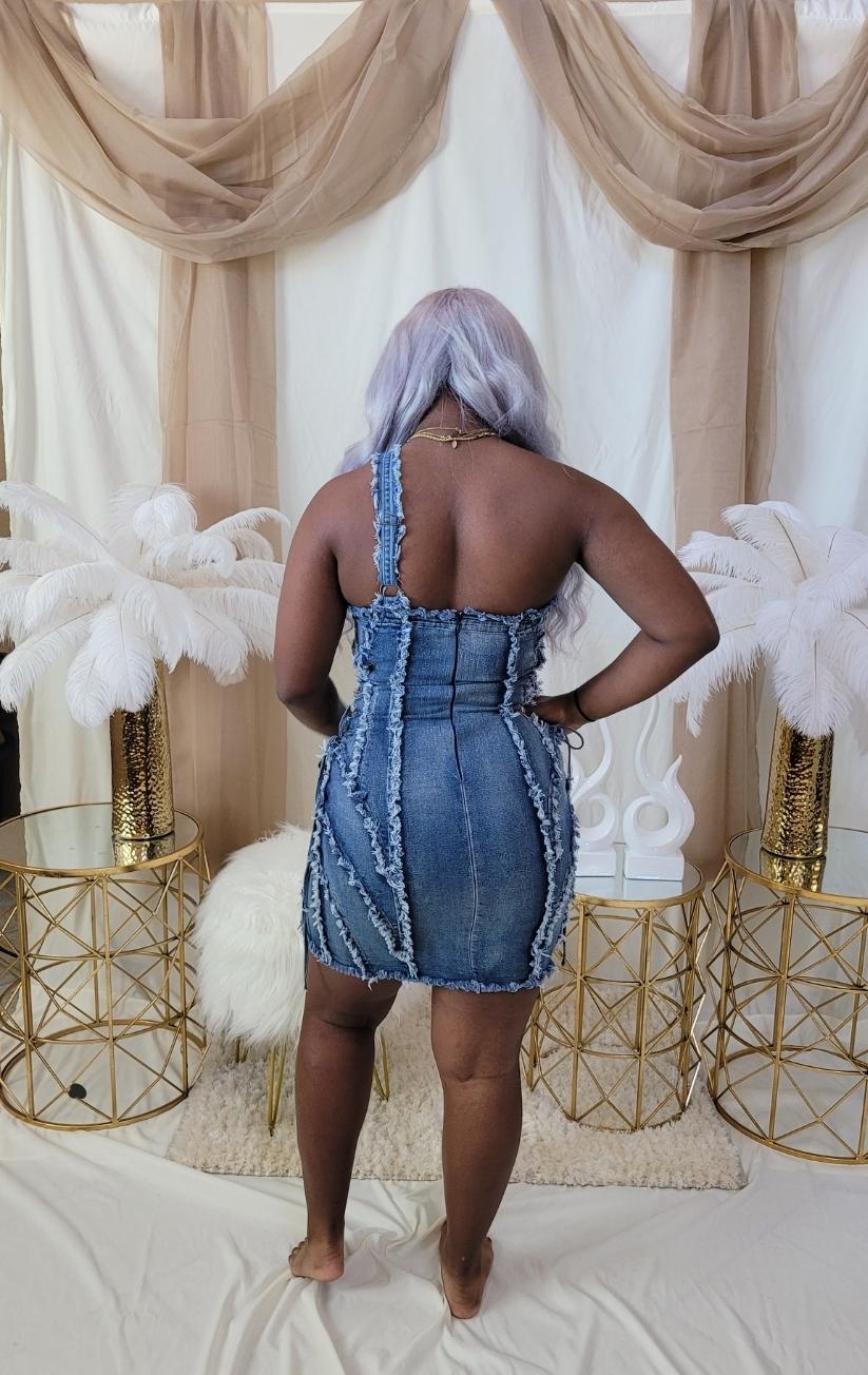 Natosha Denim Dress