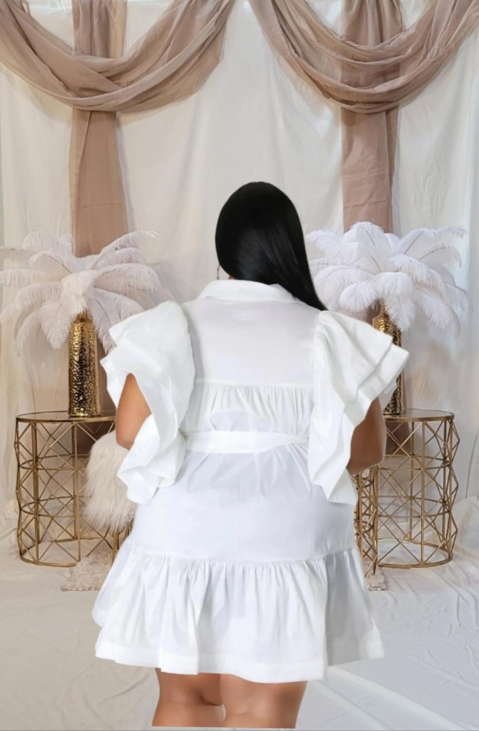 Ruffle Belted Plus Mini Drsess