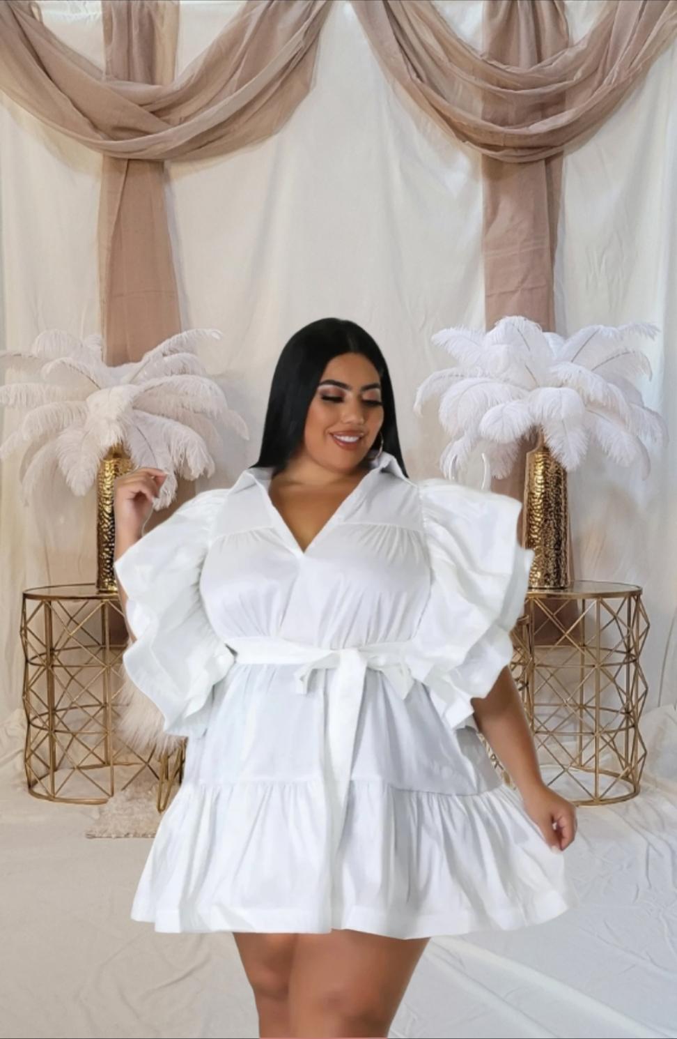 Ruffle Belted Plus Mini Drsess