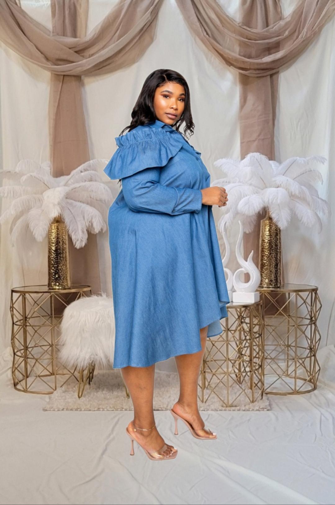 Bridgette Plus Denim Dress